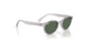 717171 - Grey - Dark Green