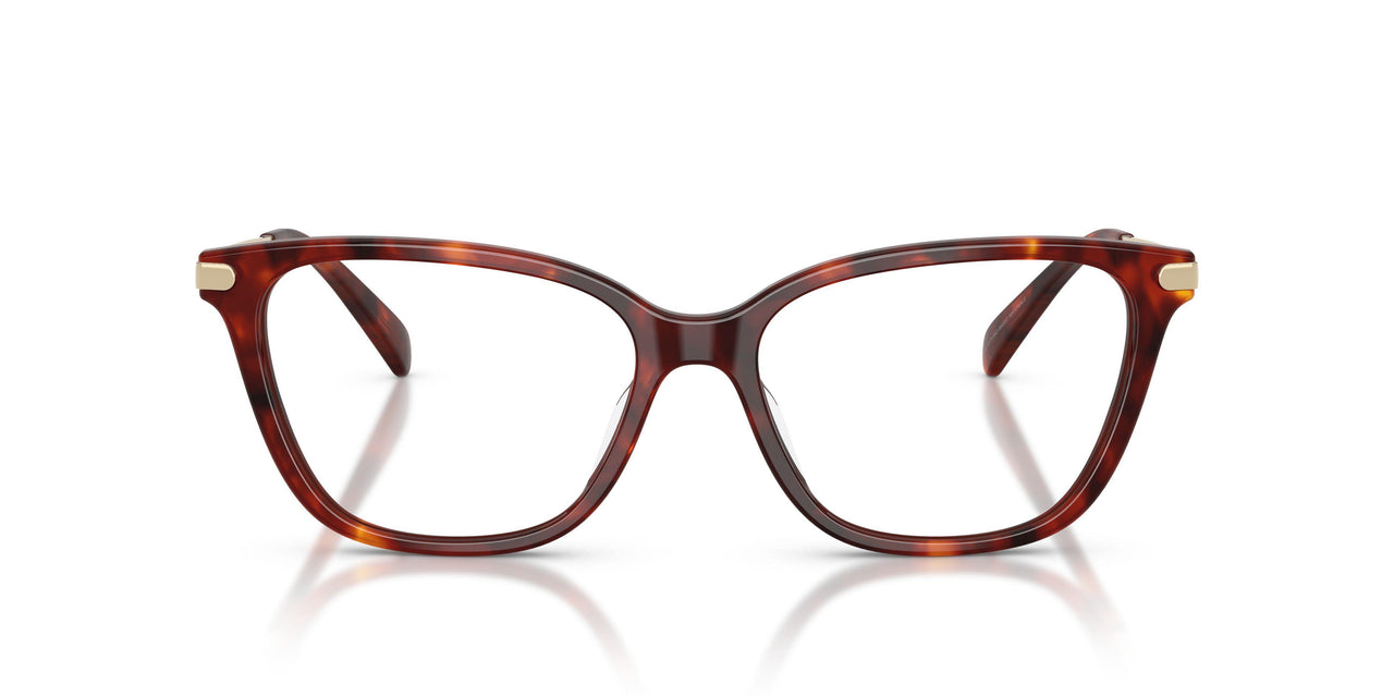 5938 - Tortoise