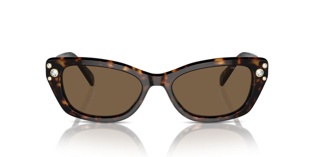 100273 - Tortoise - Dark Brown