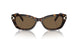 100273 - Tortoise - Dark Brown