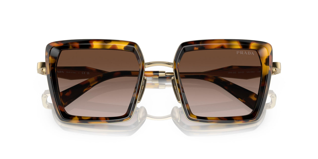 VAU6S1 - Havana - Brown Gradient