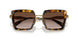 VAU6S1 - Havana - Brown Gradient