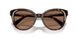 100273 - Brown - Dark Brown