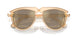 40635A - Brown - Light Brown Mirror Gold