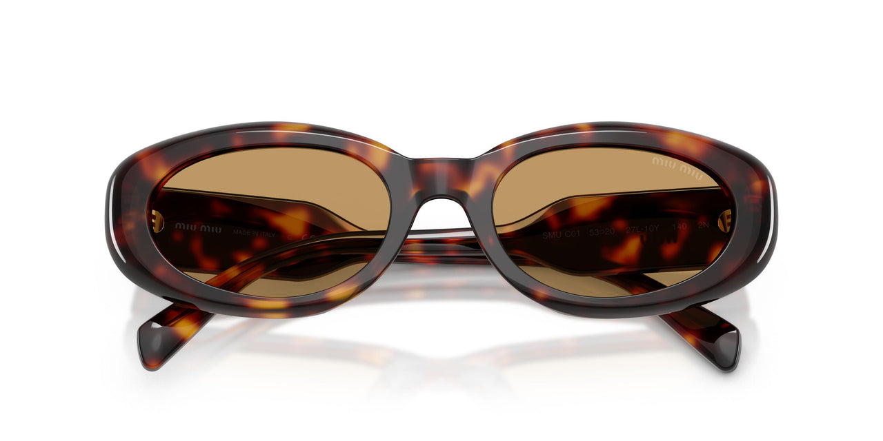 27L10Y - Tortoise - Brown