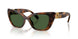 100271 - Tortoise - Dark Green