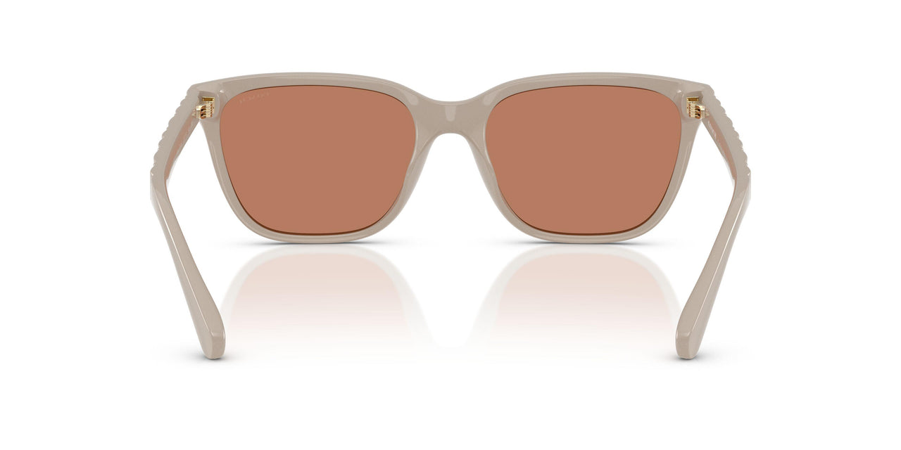 58843 - Brown - Brown Solid