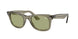 Ray-Ban Wayfarer 2140F Sunglasses