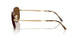 927557 - Havana - Polar Brown