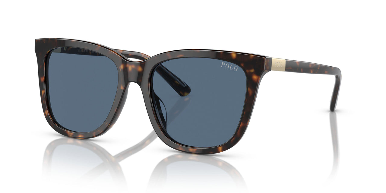 500380 - Brown - Blue