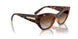W65613 - Brown - Gradient Dark Brown