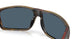 912911 - Tortoise - Gray