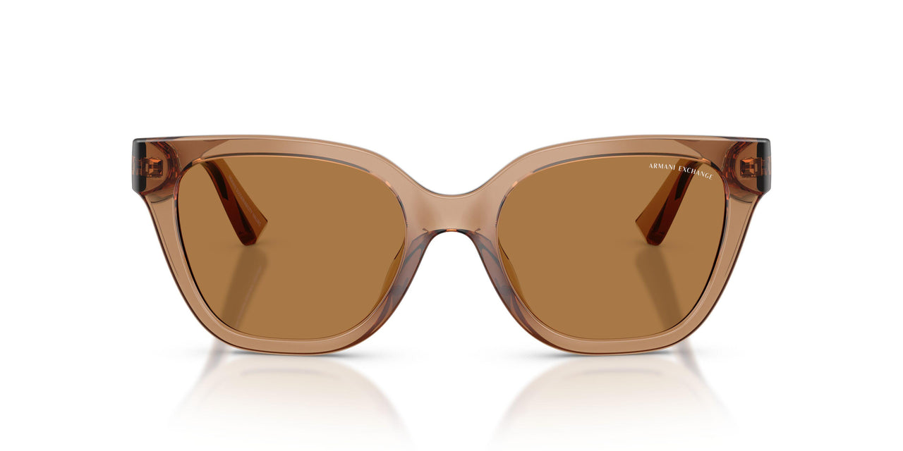 839673 - Brown - Bronze