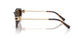 80153G - Tortoise - Light Brown