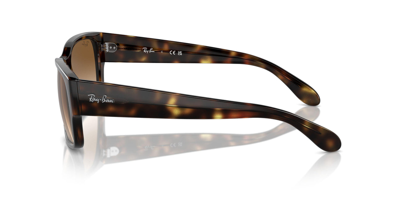 710/51 - Tortoise - Clear & Brown