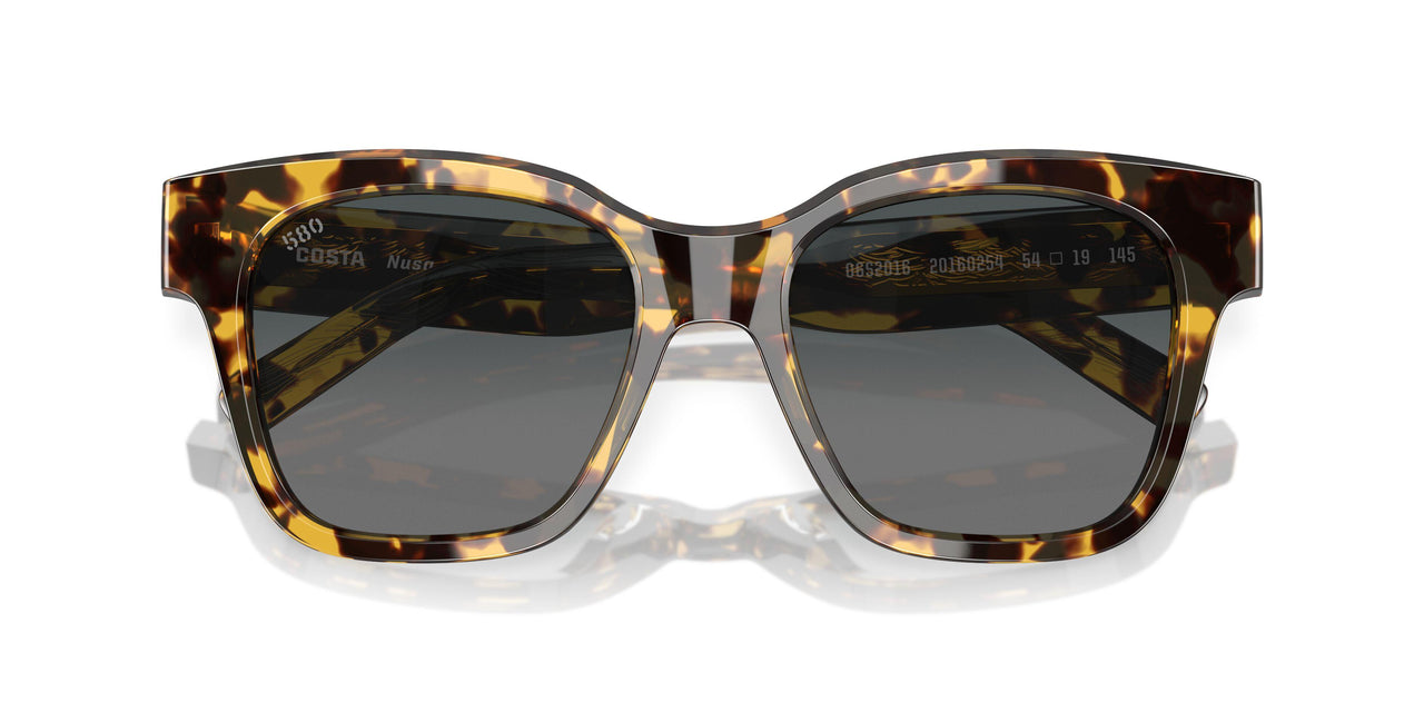 201602 - Tortoise - Gray Gradient