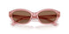 202173 - Pink - Dark Brown