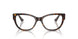 W656 - Brown