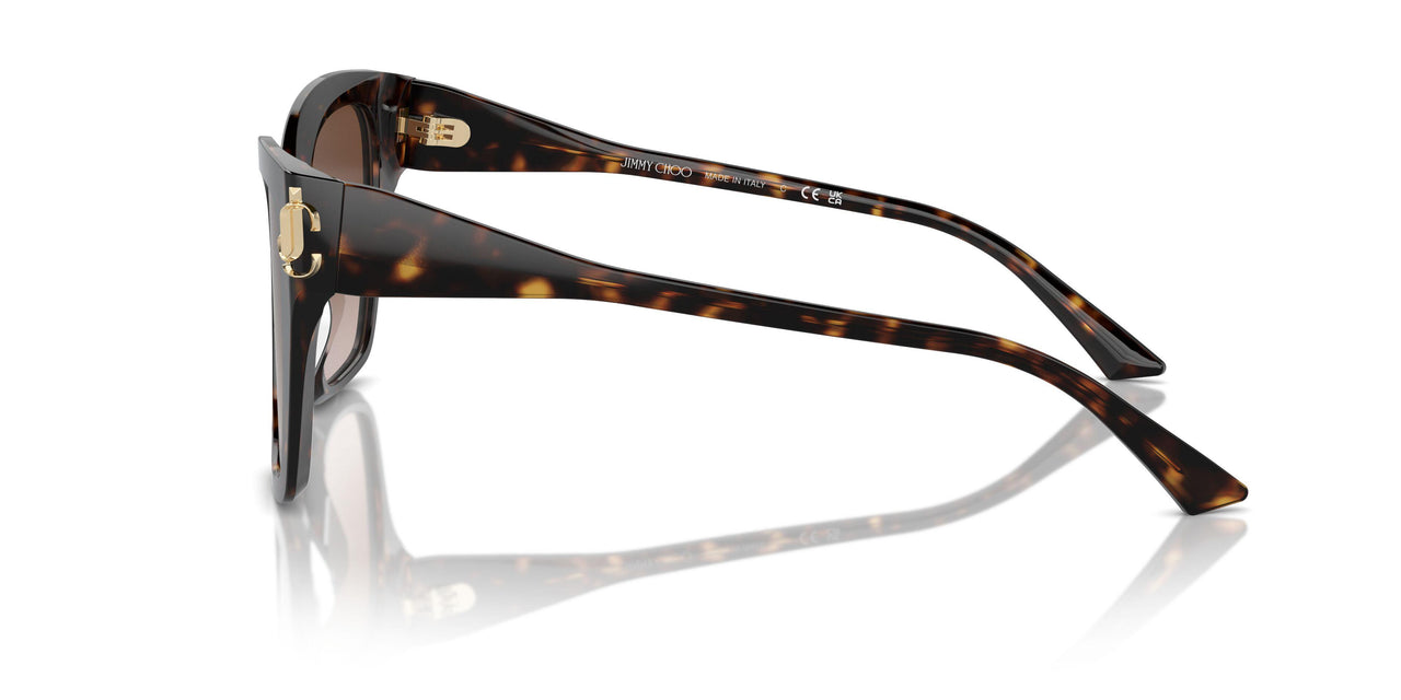 500213 - Tortoise - Gradient Brown