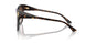 500213 - Tortoise - Gradient Brown