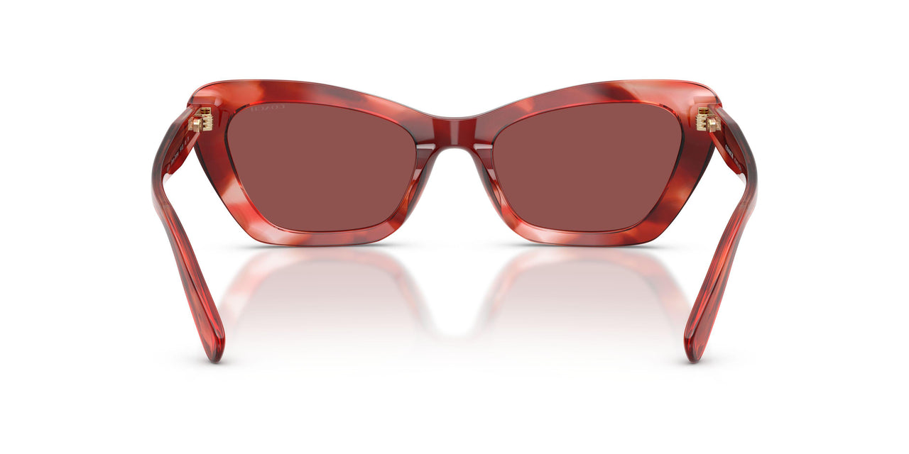 594075 - Red - Wine Solid