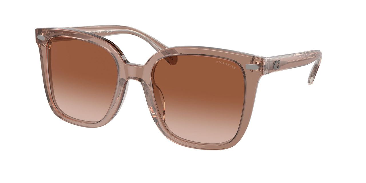 Coach Cl919 8381F Sunglasses