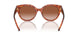 577413 - Tortoise - Brown Gradient