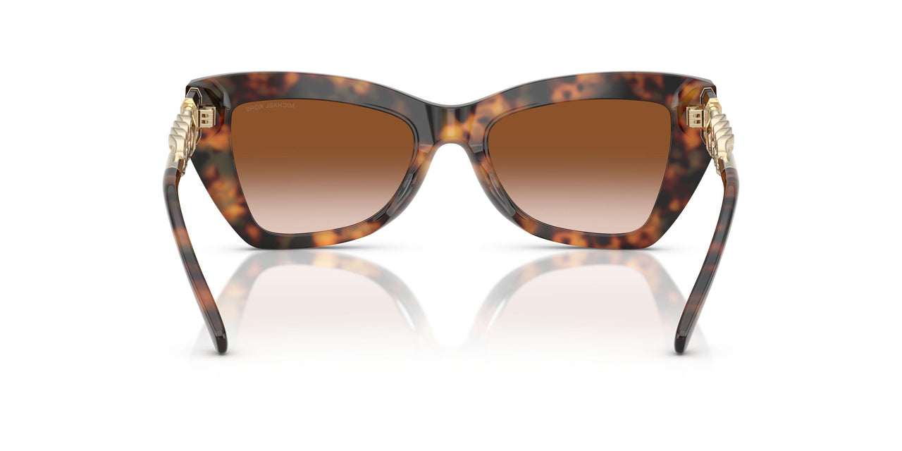 39043B - Tortoise - Brown Gradient