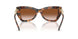 39043B - Tortoise - Brown Gradient