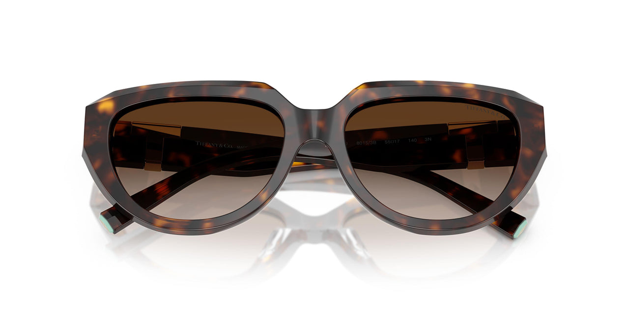 80153B - Tortoise - Brown Gradient