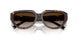 80153B - Tortoise - Brown Gradient