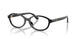 Polo 2311U Eyeglasses
