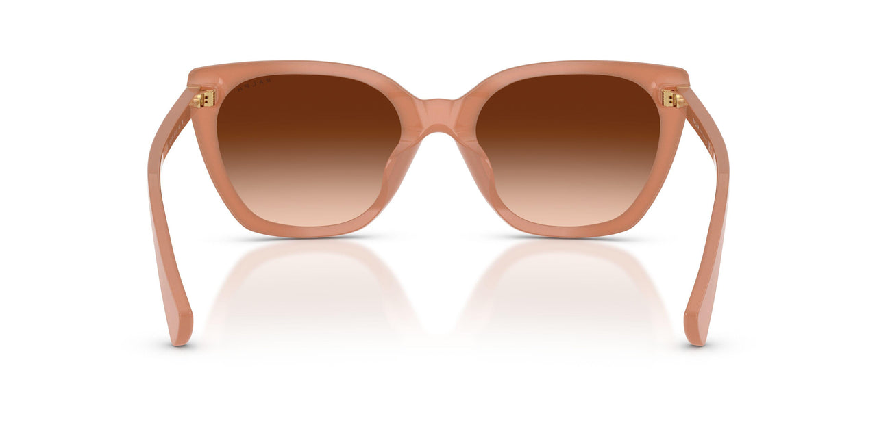 623774 - Orange - Brown Gradient