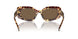 199573 - Tortoise - Dark Brown