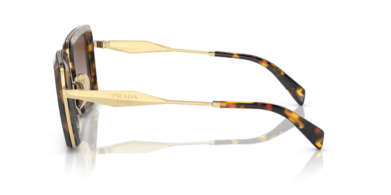 VAU6S1 - Havana - Brown Gradient