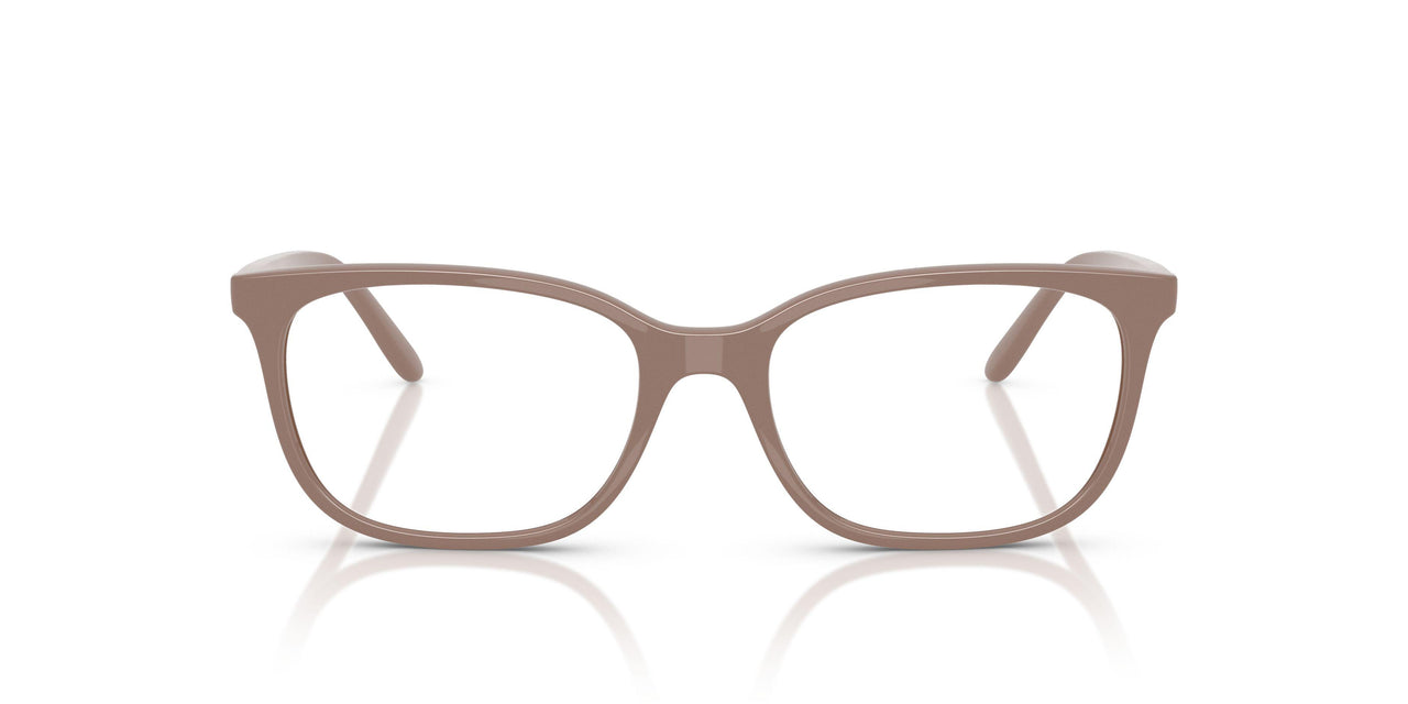 3272 - Brown