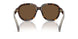 300273 - Tortoise - Brown Solid