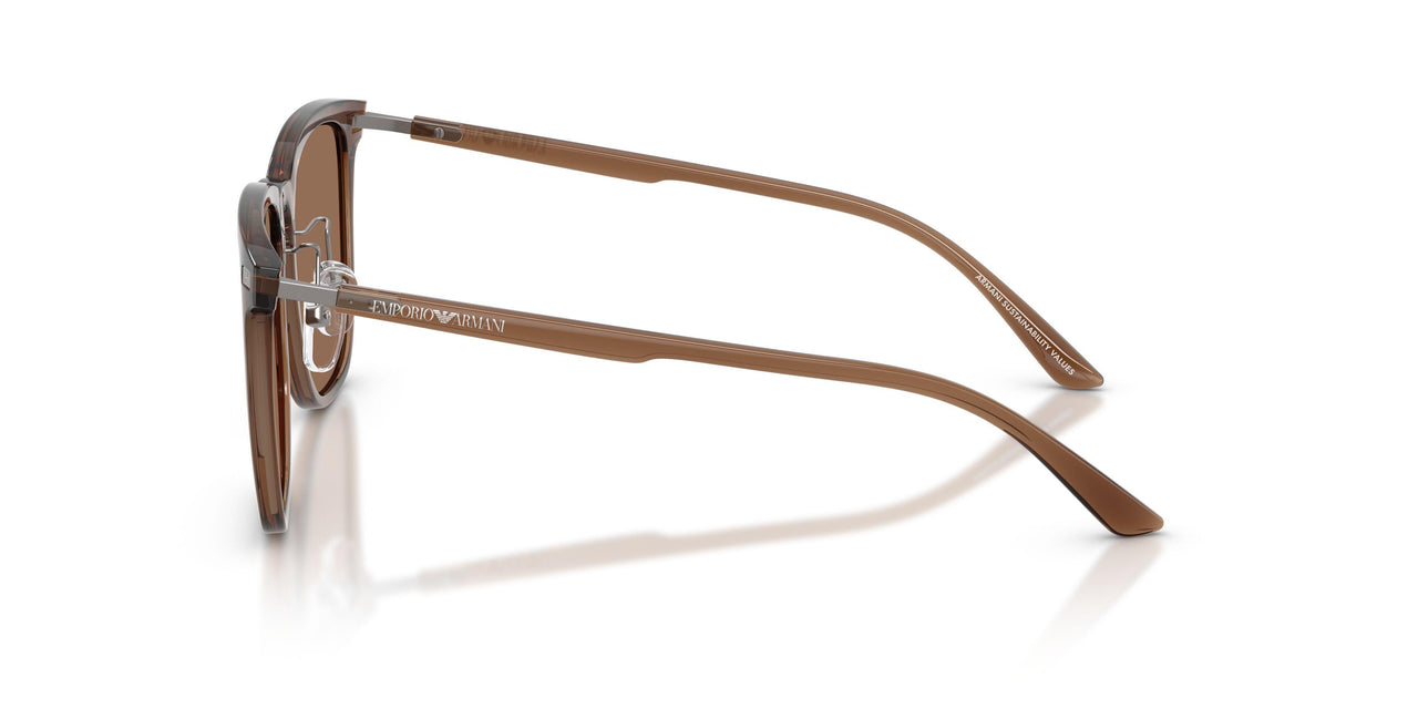 628273 - Brown - Dark Brown