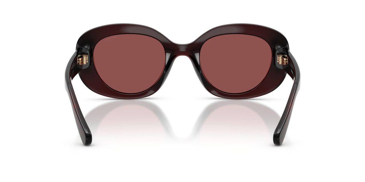 596375 - Violet - Wine Solid