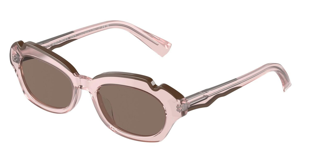004/3G - Pink - Dark Brown