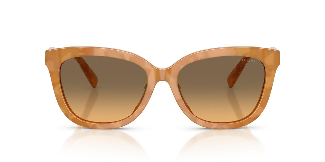 593911 - Tortoise - Olive