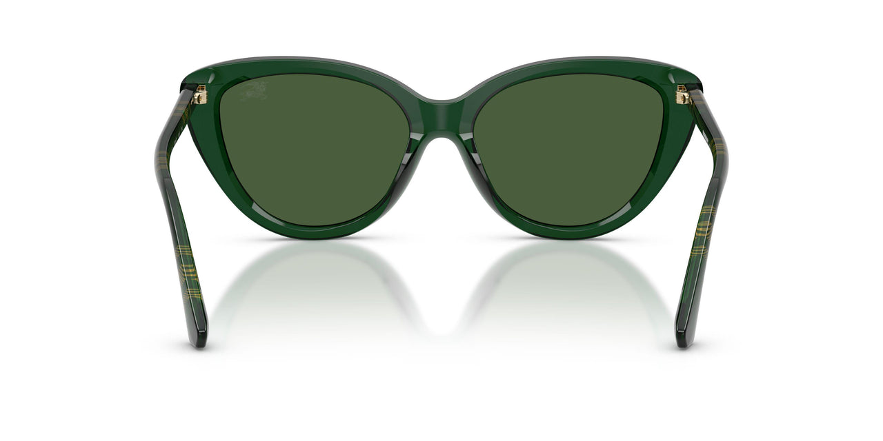 416271 - Green - Dark Green