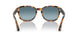 1052S3 - Havana - Blue Gradient Polar