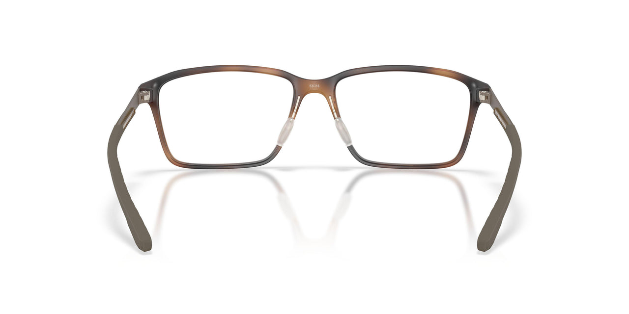 801204 - Tortoise