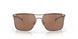 604803 - Brown - Prizm Tungsten Polarized