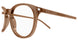 027 - Brown - Transparent
