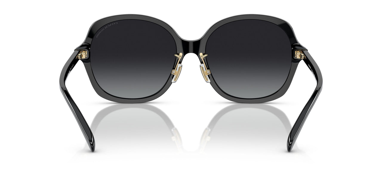 5002T3 - Black - Grey Gradient Polar