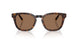 562573 - Tortoise - Dark Brown