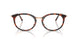 5687 - Brown - Clear