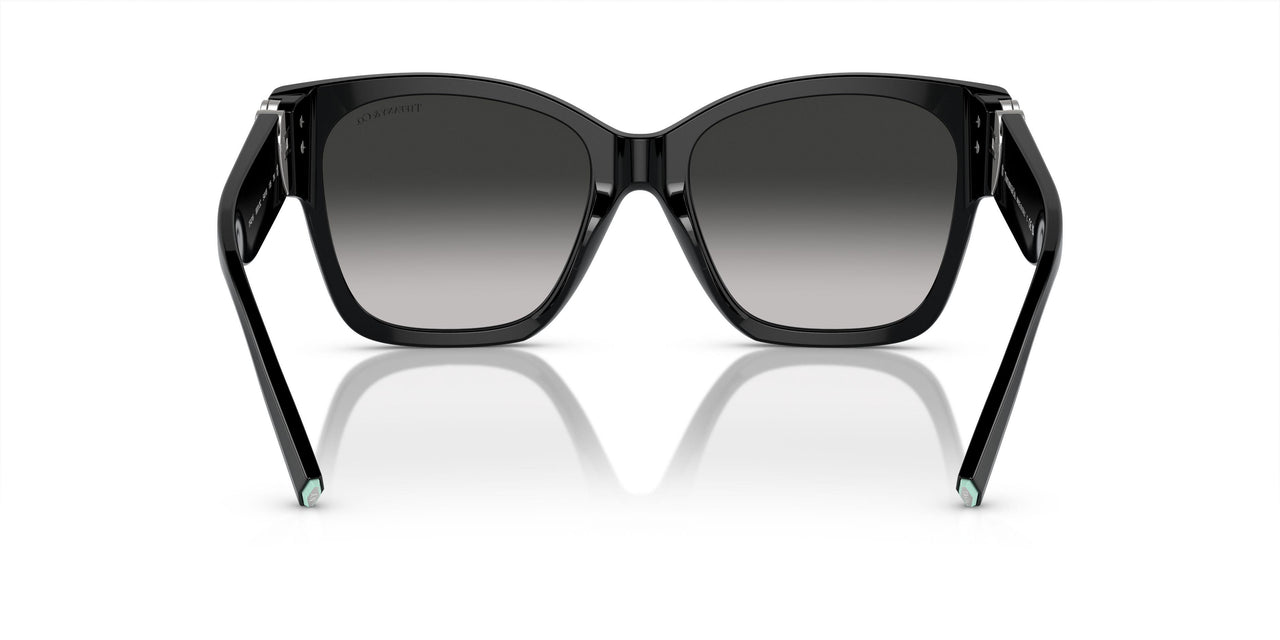 80013C - Black - Grey Gradient